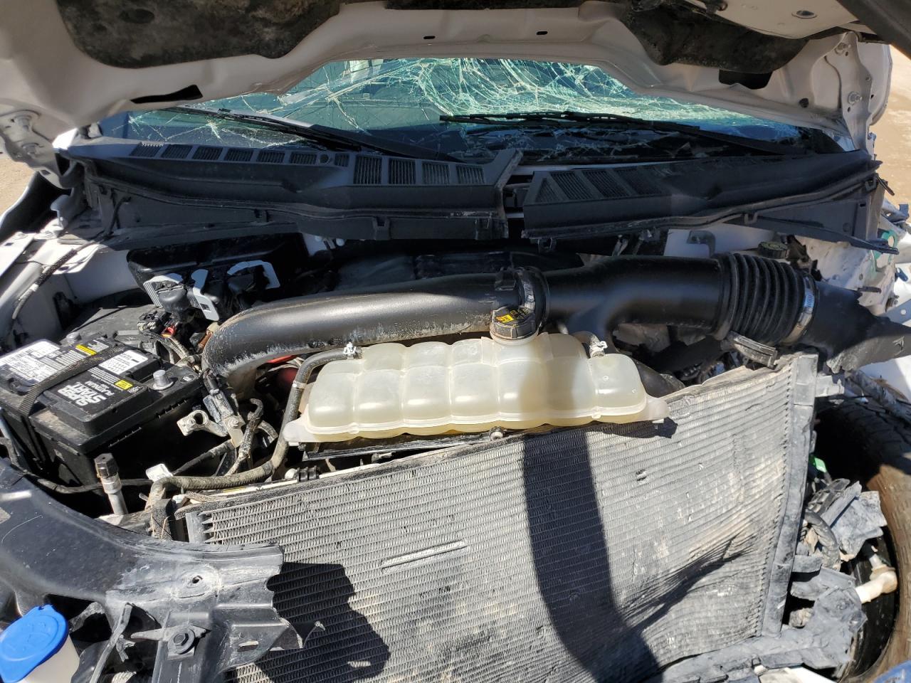 1FTFW1E82MFB17837 FORD F-150 2021