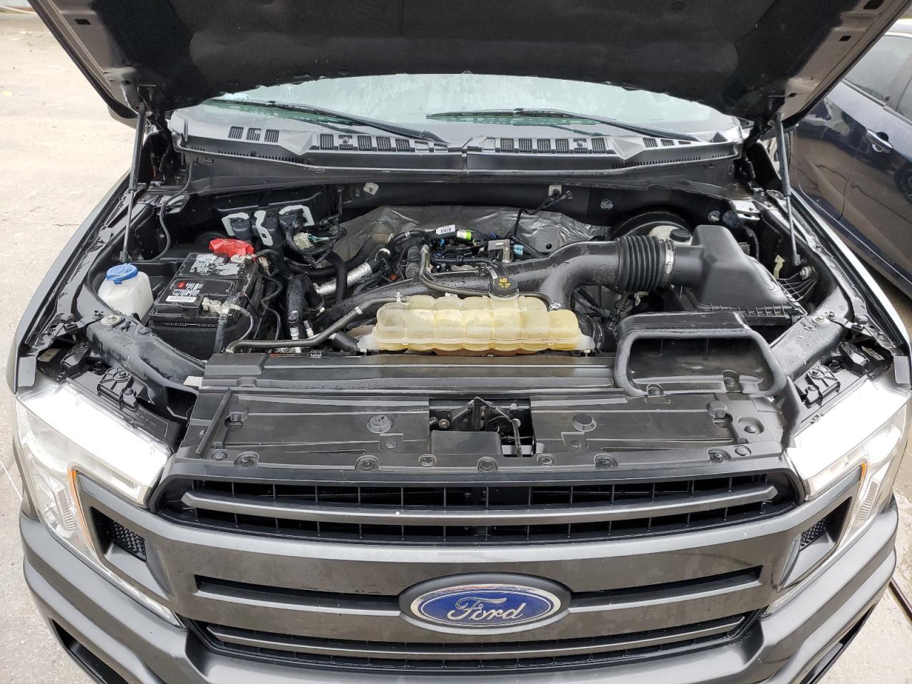 1FTEW1CP6KKE75629 FORD F-150 2019