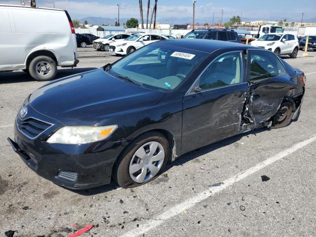 Lot #2477464448 2011 TOYOTA CAMRY BASE salvage car