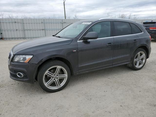 2010 Audi Q5 Premium Plus VIN: WA1MKCFP6AA034905 Lot: 51818124