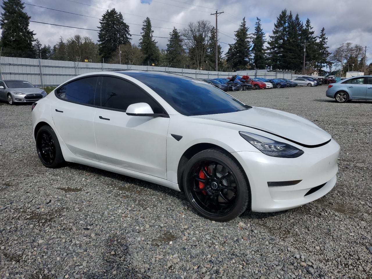 5YJ3E1EC8LF736262 2020 Tesla Model 3