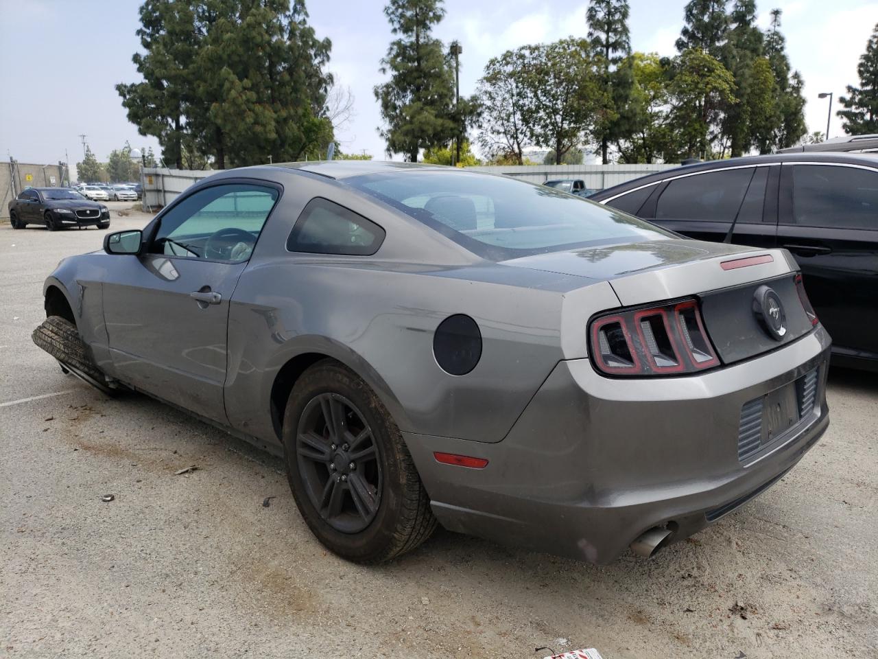 1ZVBP8AM8D5269664 2013 Ford Mustang