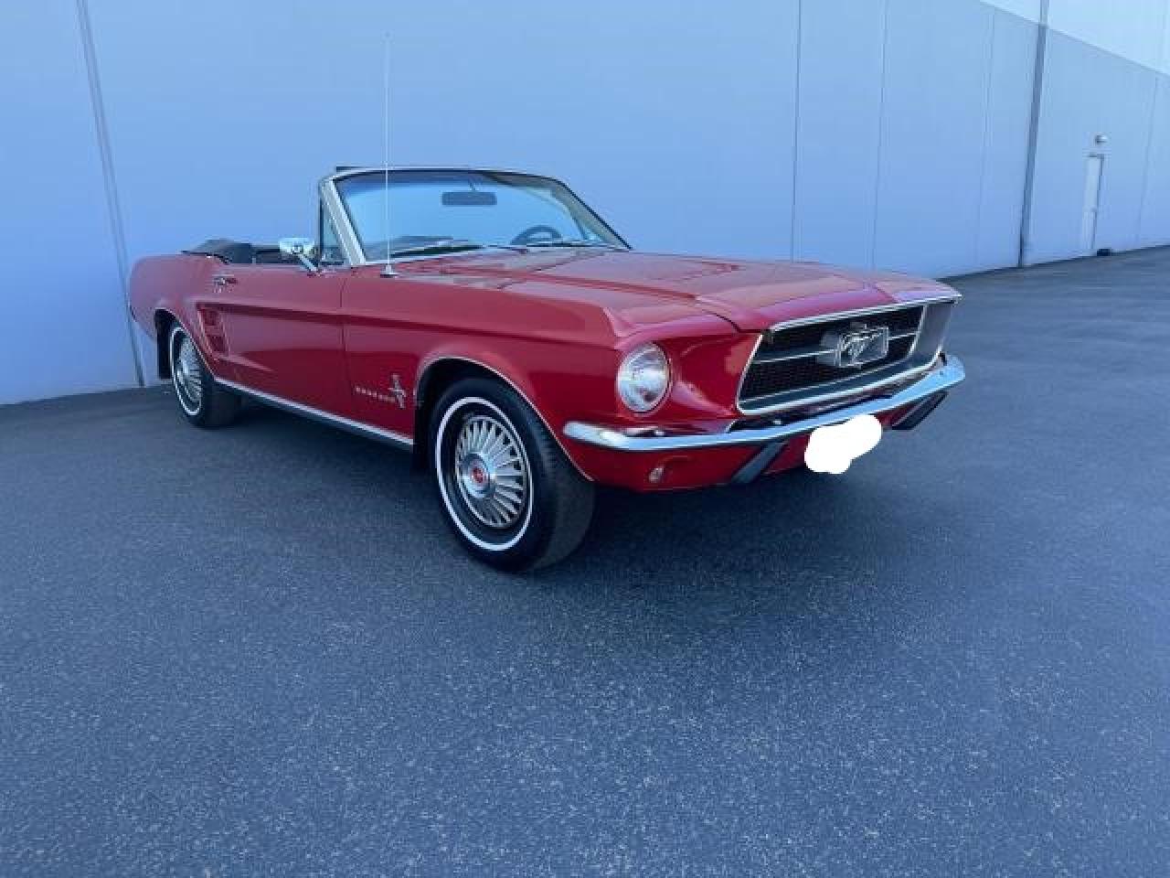 Lot #2486825369 1967 FORD MUSTANG