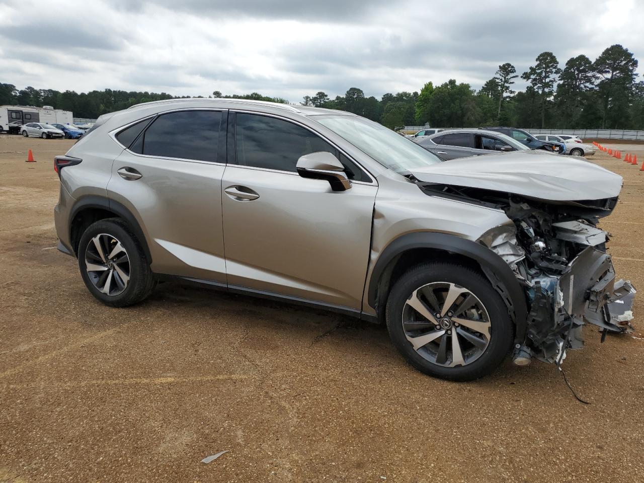 2020 Lexus Nx 300 vin: JTJGARBZ4L2174431