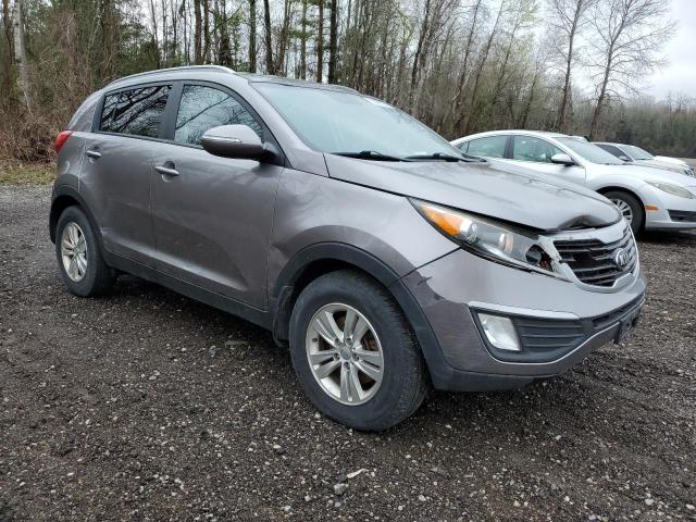 2013 Kia Sportage Base VIN: KNDPB3A26D7469407 Lot: 52928784