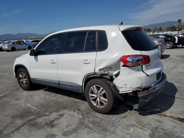 2013 Volkswagen Tiguan S VIN: WVGAV3AX3DW572620 Lot: 51494644