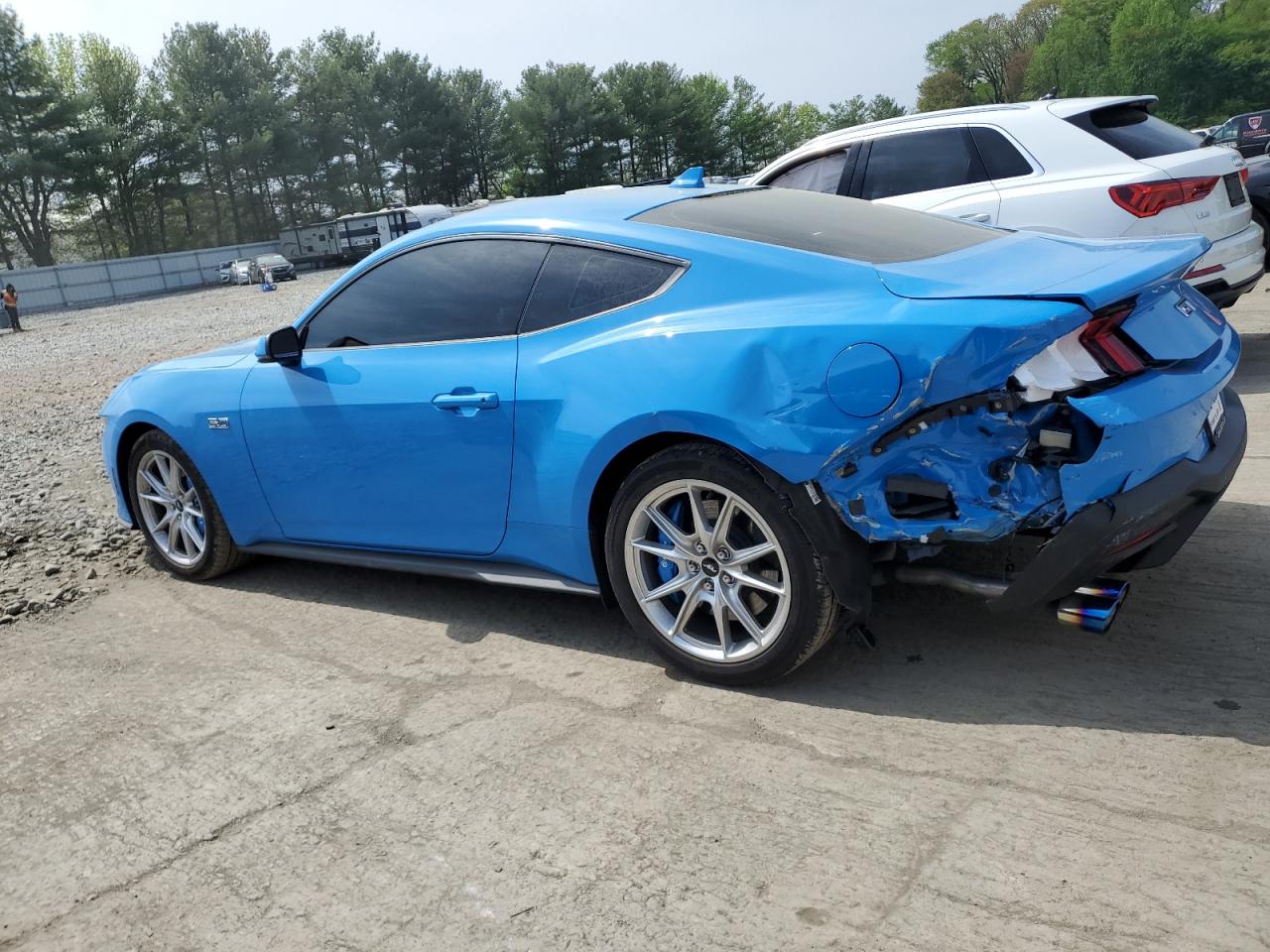 1FA6P8CF7R5407274 FORD MUSTANG 2024