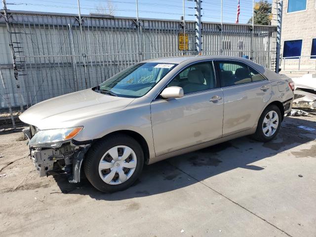 Lot #2475846064 2009 TOYOTA CAMRY BASE salvage car
