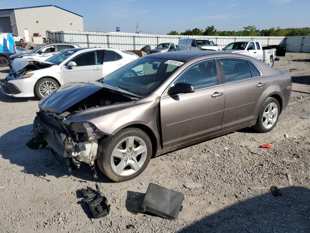 Vin: 1g1zb5e1xbf352348, lot: 51875514, chevrolet malibu ls 2011 img_1