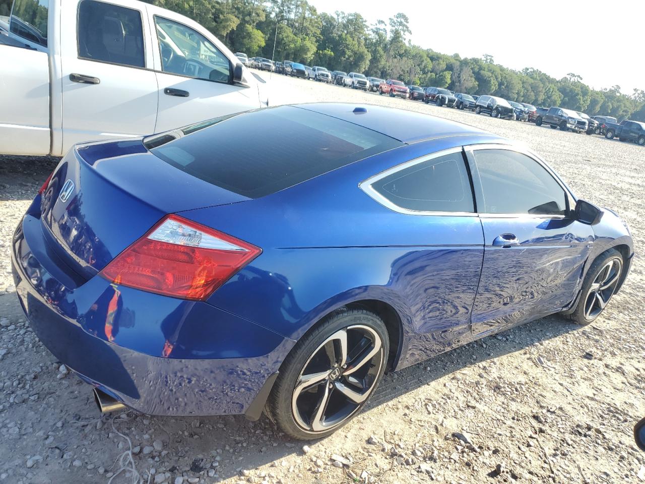 1HGCS12889A025219 2009 Honda Accord Exl