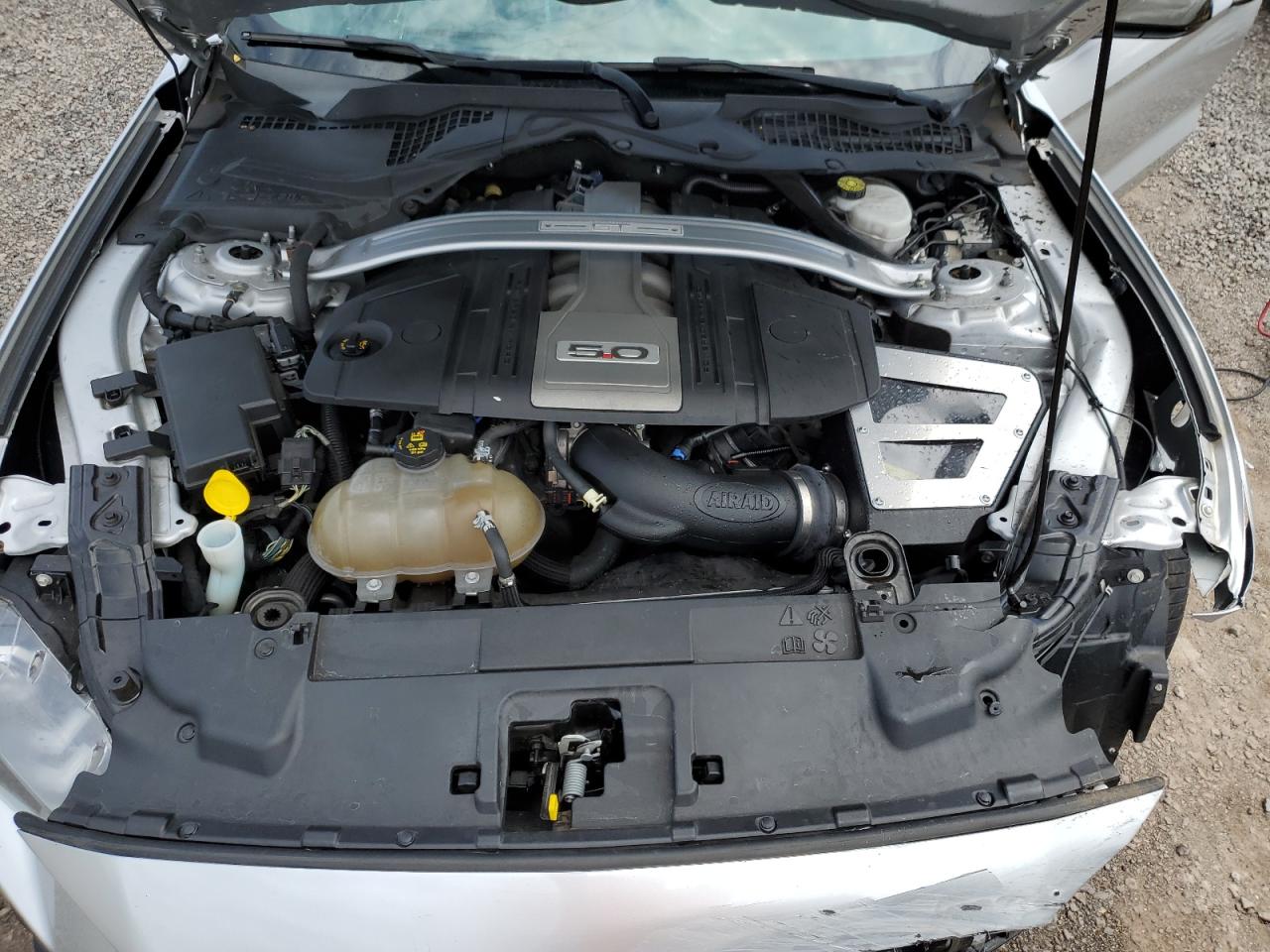 1FA6P8CFXK5163688 2019 Ford Mustang Gt