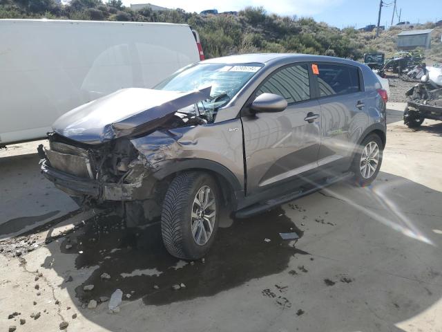 Lot #2490183964 2014 KIA SPORTAGE L salvage car