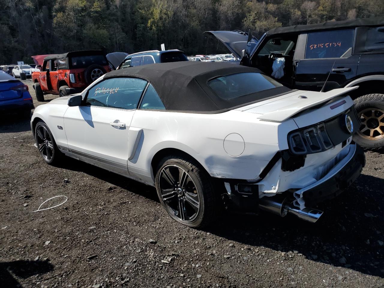 Lot #2491666704 2013 FORD MUSTANG GT
