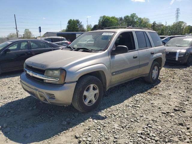 2003 Chevrolet Trailblazer VIN: 1GNDS13S432201916 Lot: 51076554