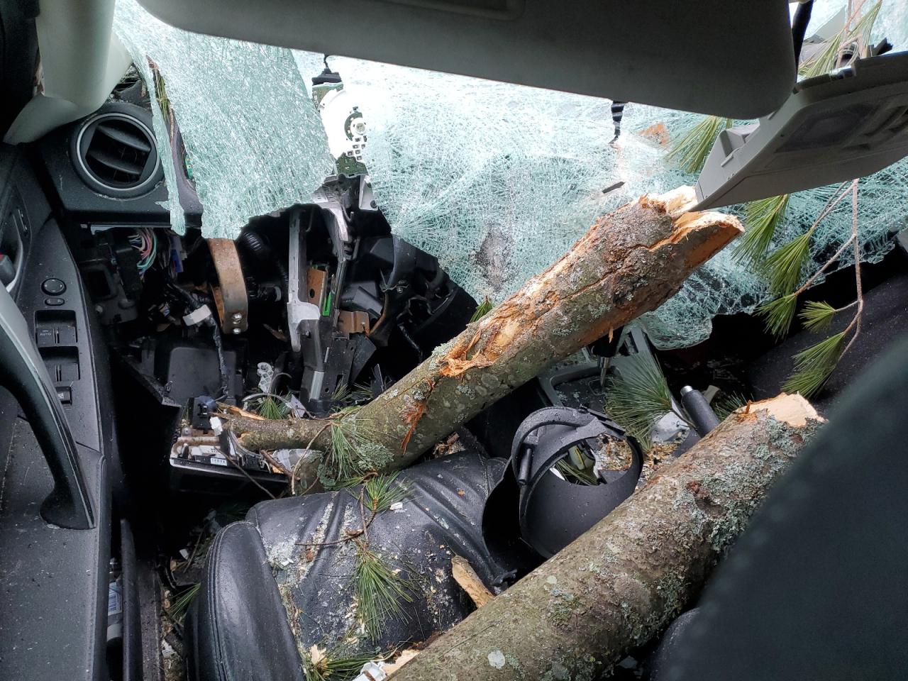 JM1BL1H61A1107942 2010 Mazda 3 S