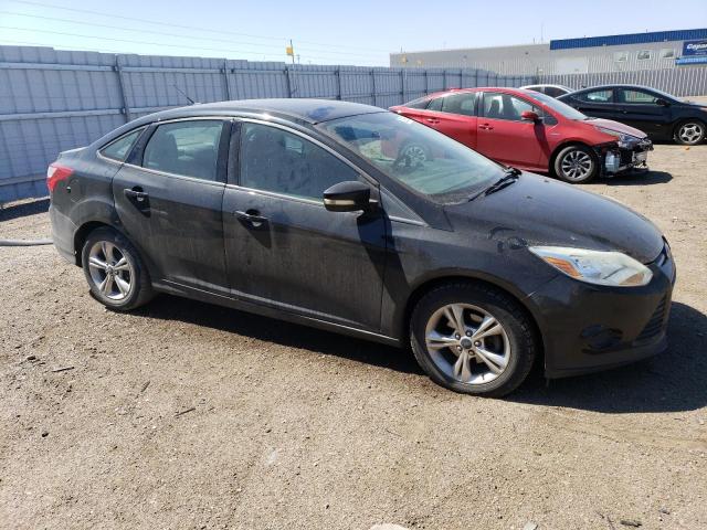 2013 Ford Focus Se VIN: 1FADP3F24DL318883 Lot: 50296554