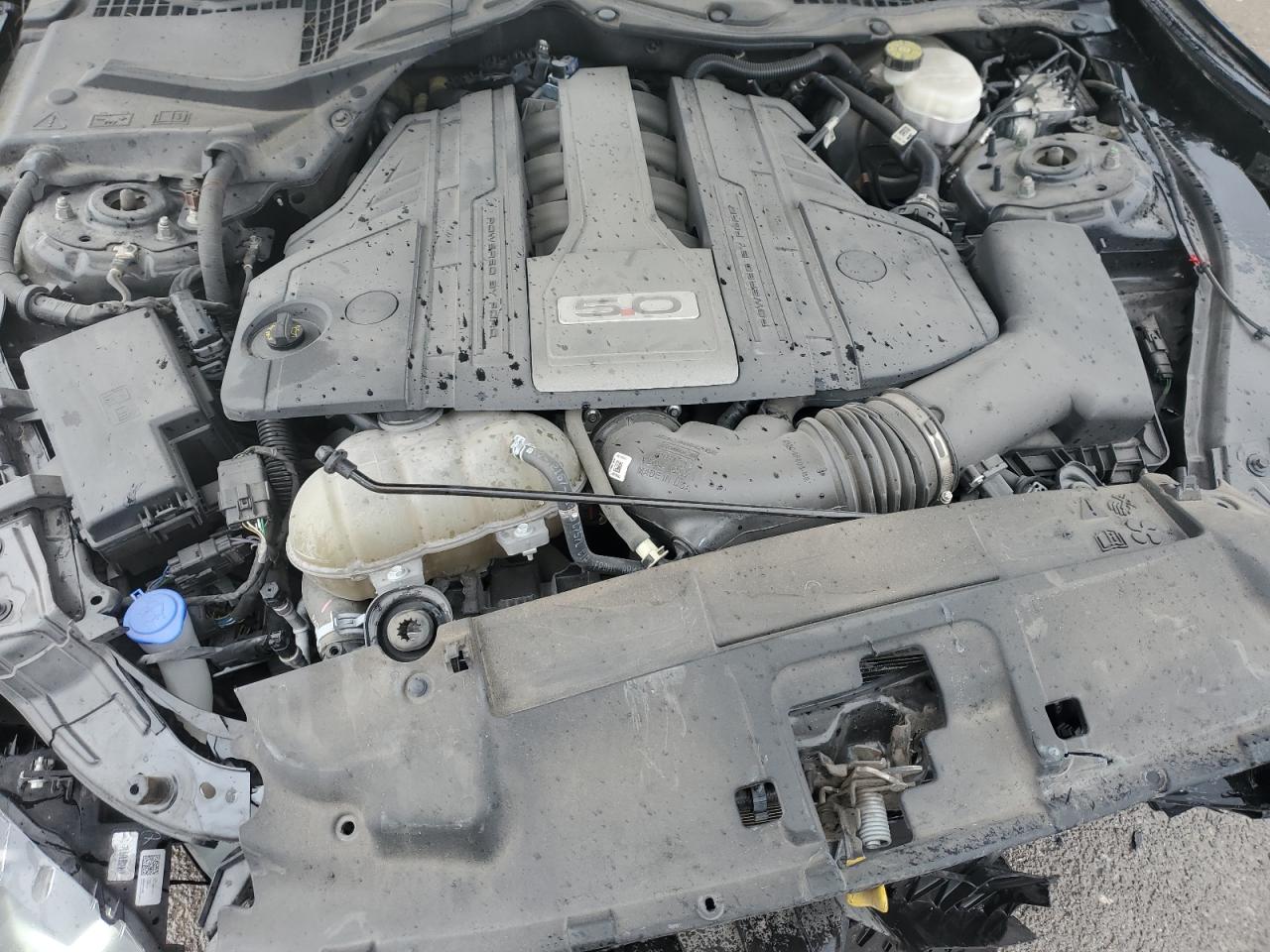 1FA6P8CF7L5163410 FORD MUSTANG 2020