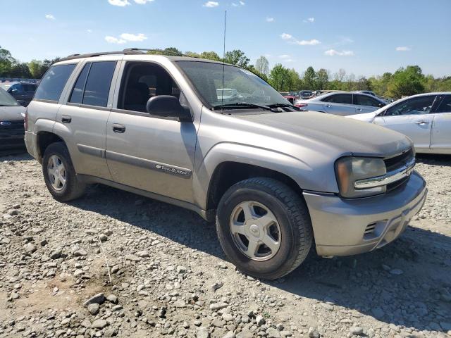 2003 Chevrolet Trailblazer VIN: 1GNDS13S432201916 Lot: 51076554