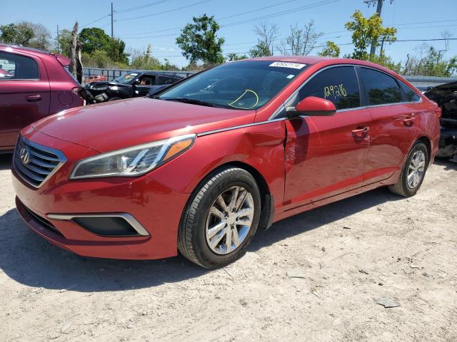 2017 Hyundai Sonata Se VIN: 5NPE24AF1HH559503 Lot: 50952174