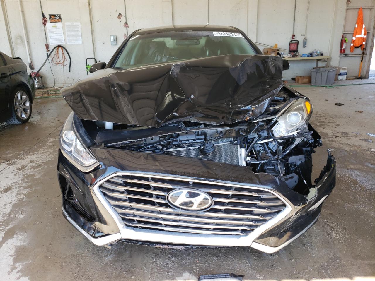 5NPE24AF4JH716222 2018 Hyundai Sonata Se