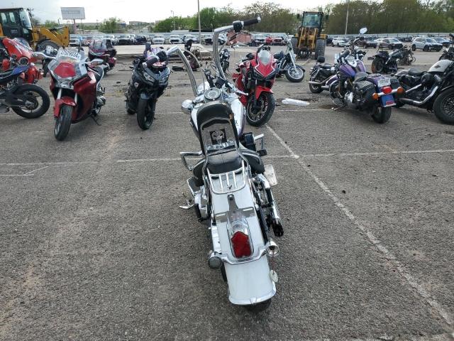 2010 HARLEY-DAVIDSON FLSTN 1HD1JD514AB021318