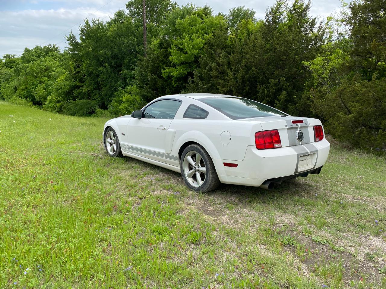 1ZVHT82HX75304300 2007 Ford Mustang Gt