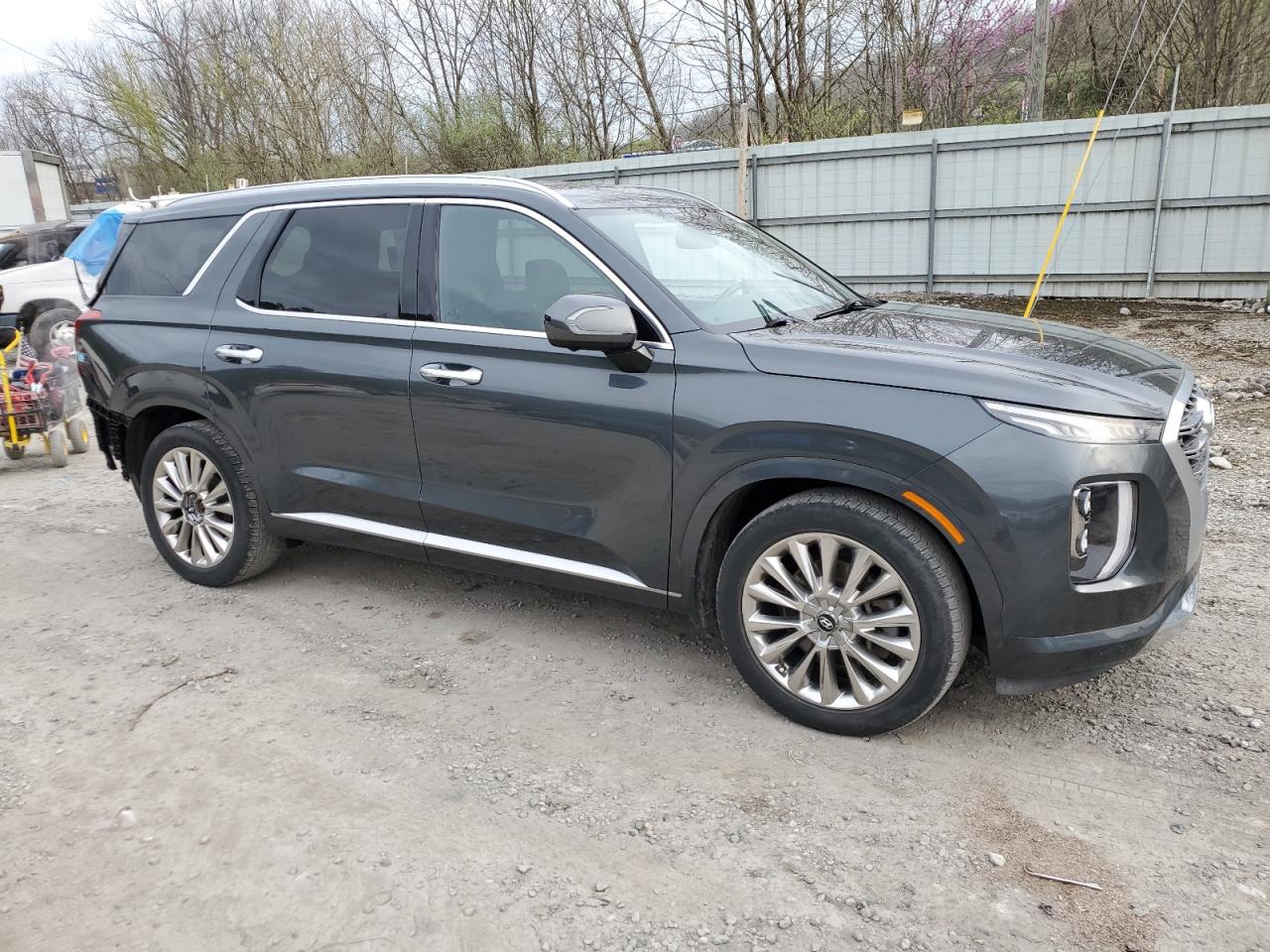 2020 Hyundai Palisade Limited vin: KM8R5DHE2LU096044