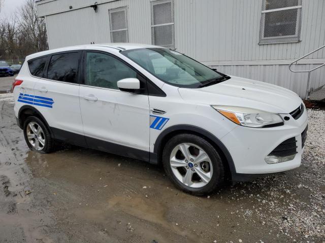 Паркетники FORD ESCAPE 2014 Белый