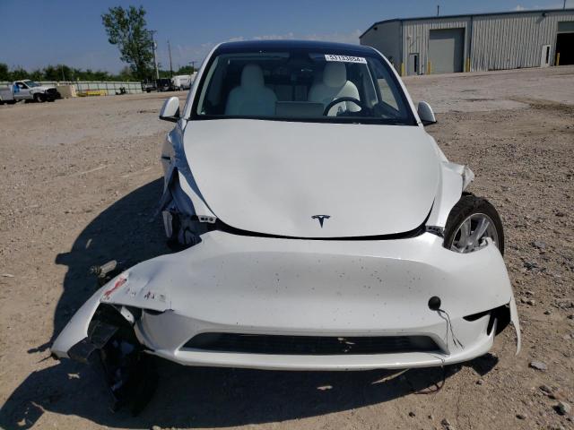 2023 TESLA MODEL Y - 7SAYGDEE6PF861451