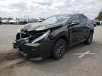 2022 LEXUS NX 350 - 2T2AGCEZ8NC012849