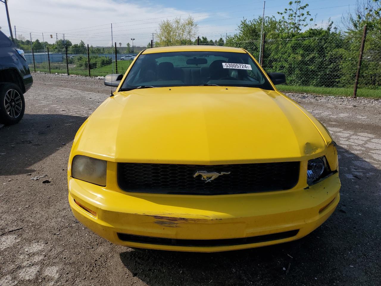 1ZVFT80N065165941 2006 Ford Mustang