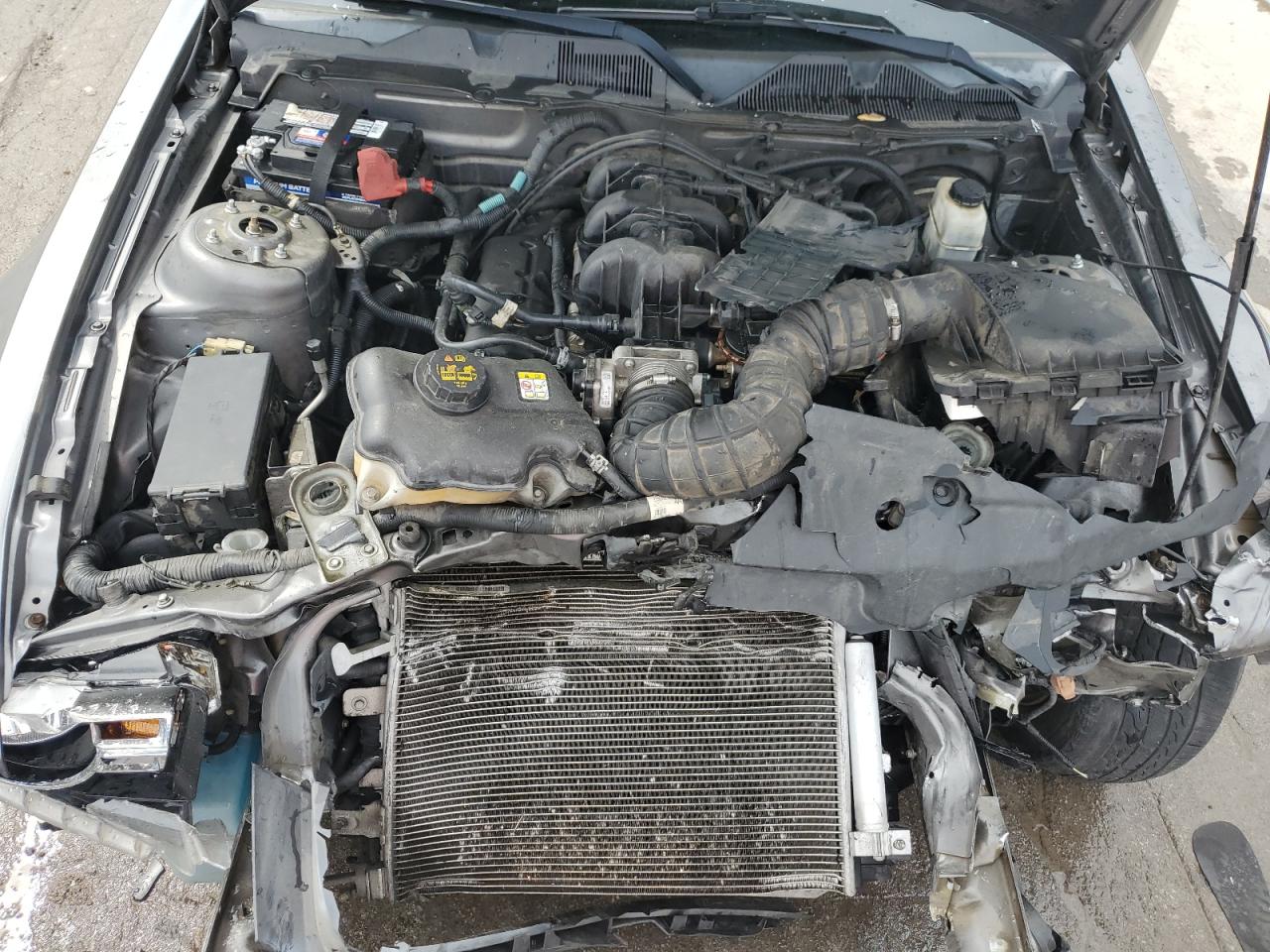 1ZVBP8EN7A5158764 2010 Ford Mustang