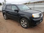 HONDA PILOT EXL photo