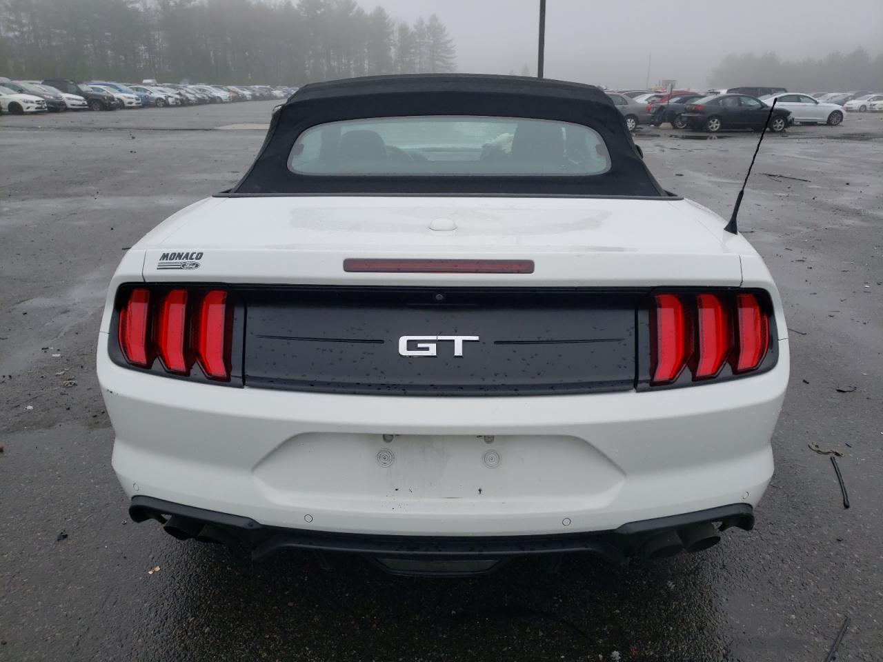 2019 Ford Mustang Gt vin: 1FATP8FF2K5128920