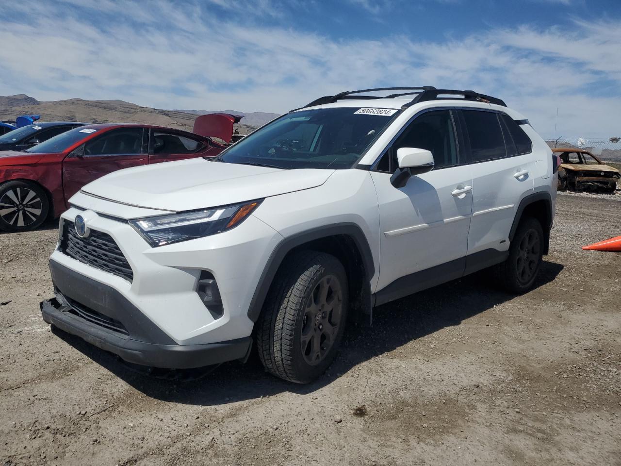 2T3UWRFV7PW152483 TOYOTA RAV4 WOODL 2023