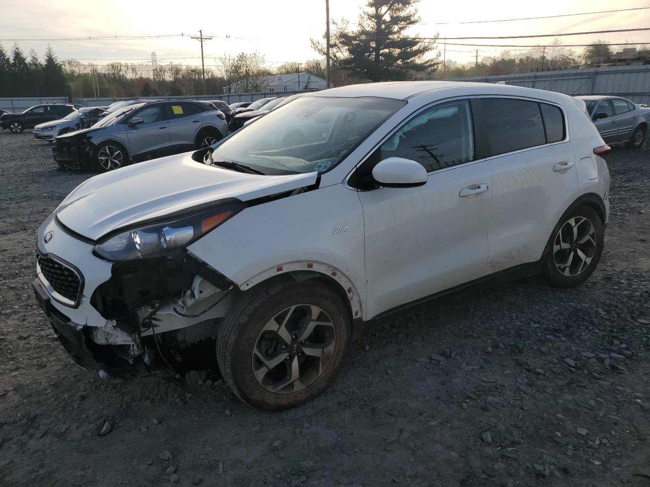 KNDPMCACXL7667053 2020 Kia Sportage Lx