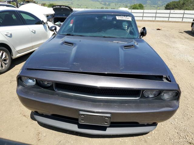 2013 Dodge Challenger R/T VIN: 2C3CDYBT6DH588032 Lot: 51081354