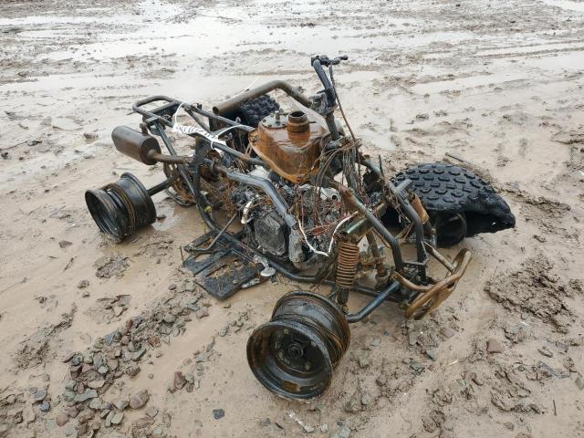 2024 CAN-AM ATV - RF39GA824RT003105