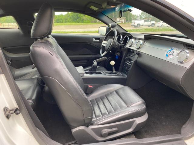 Lot #2484681015 2007 FORD MUSTANG GT salvage car