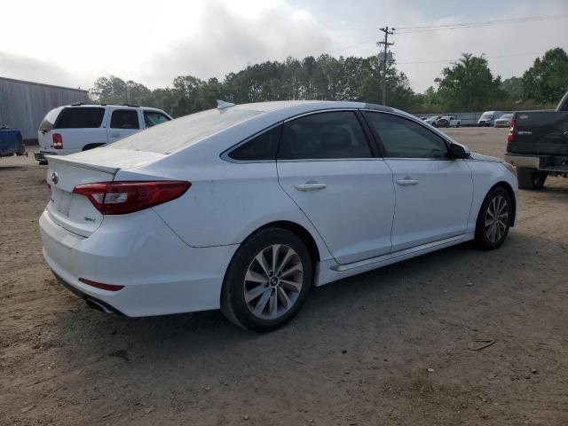 2016 HYUNDAI SONATA SPO - 5NPE34AF5GH336540