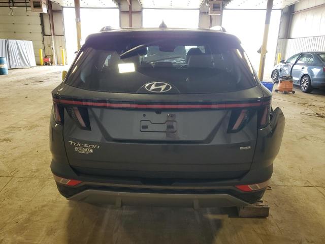 2024 Hyundai Tucson Limited VIN: 5NMJECDE9RH363102 Lot: 49694684