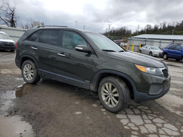 2011 Kia Sorento Base VIN: 5XYKTDA25BG092629 Lot: 50141244