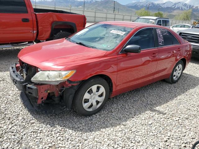 Lot #2517721043 2009 TOYOTA CAMRY BASE salvage car