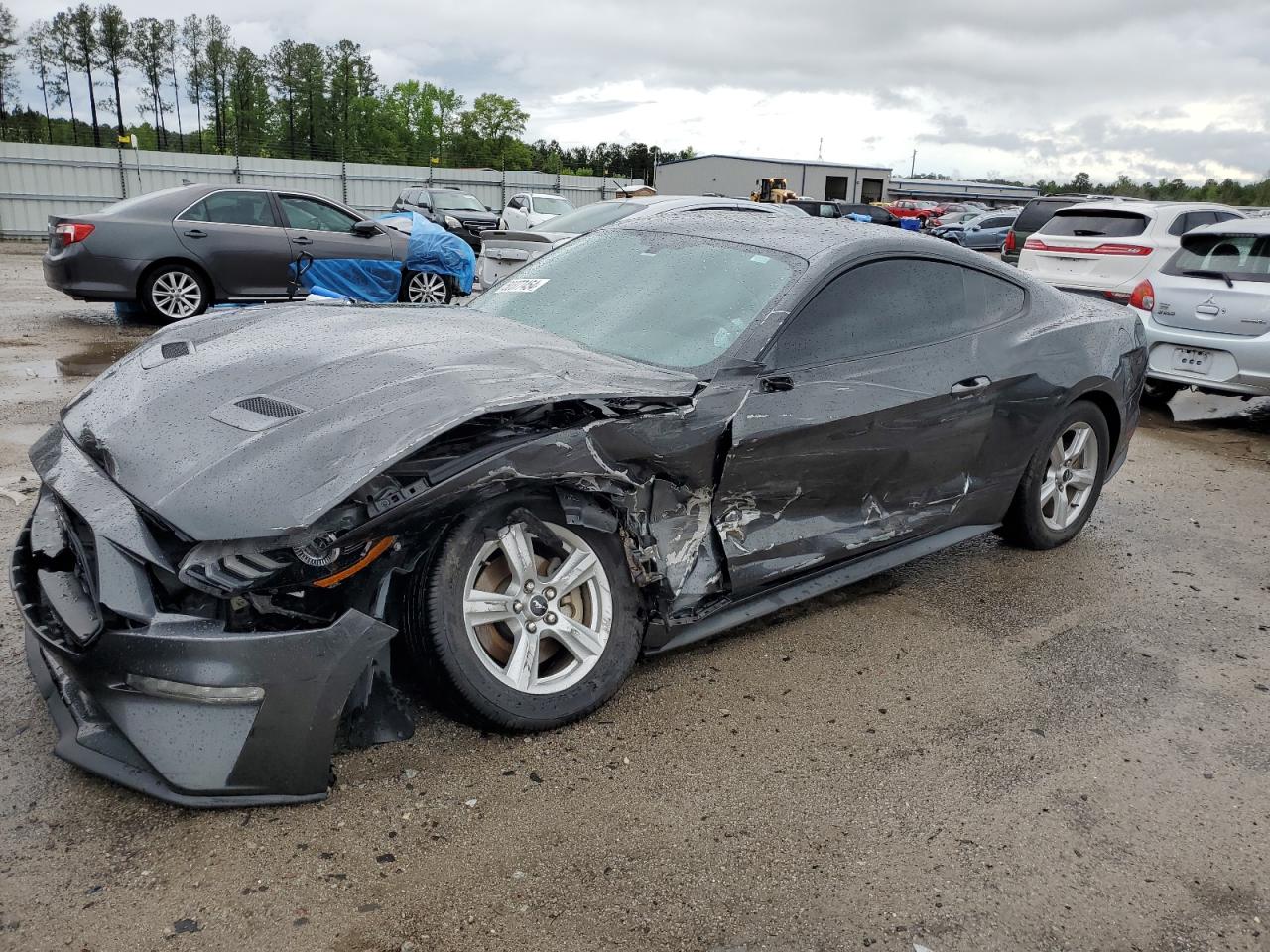 2019 Ford Mustang vin: 1FA6P8TH4K5191178