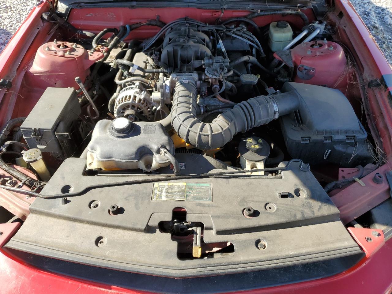 1ZVFT80NX65156440 2006 Ford Mustang