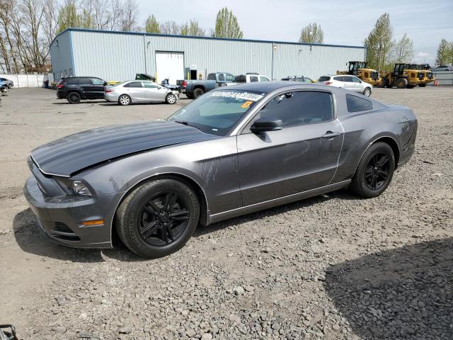 Lot #2489320876 2014 FORD MUSTANG salvage car