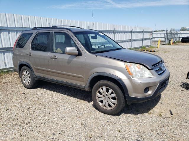 2005 Honda Cr-V Se VIN: JHLRD78915C049420 Lot: 51431224