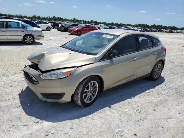 2016 Ford Focus Se VIN: 1FADP3K23GL391656 Lot: 50639504