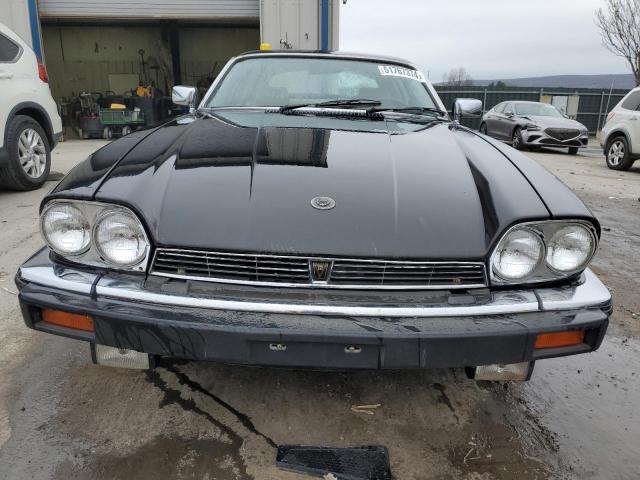 1983 Jaguar Xjs VIN: SAJNV5849DC111065 Lot: 51325844