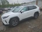 2024 TOYOTA RAV4 XLE - 2T3P1RFV0RC399635